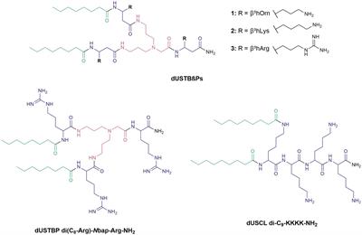 Dioctanoyl Ultrashort Tetrabasic β-Peptides Sensitize Multidrug-Resistant Gram-Negative Bacteria to Novobiocin and Rifampicin